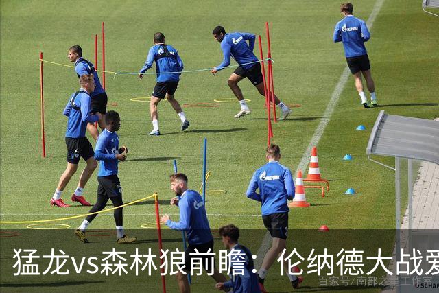 猛龙vs森林狼前瞻：伦纳德大战爱德华兹，一场不同风格的强硬对决